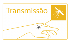 Transmissao Leishmaniasis: bite of a fly